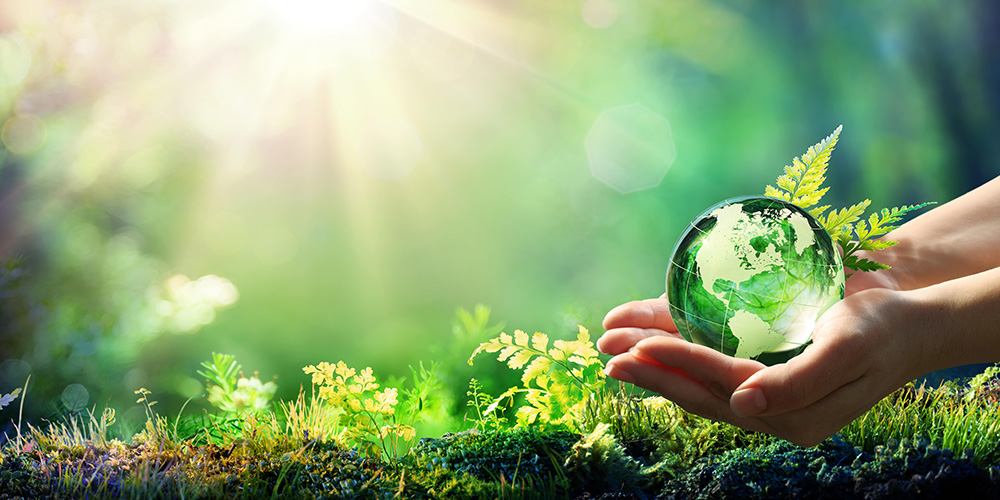 Développement durable